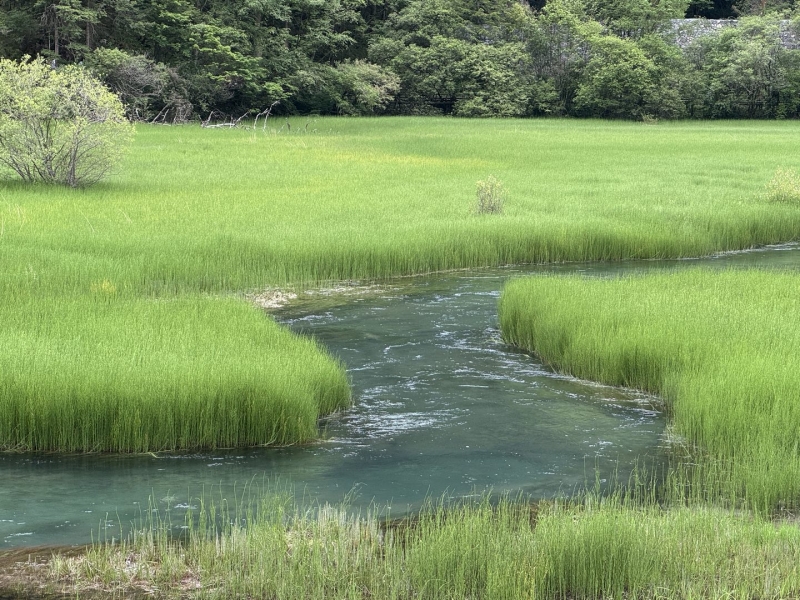 九寨沟